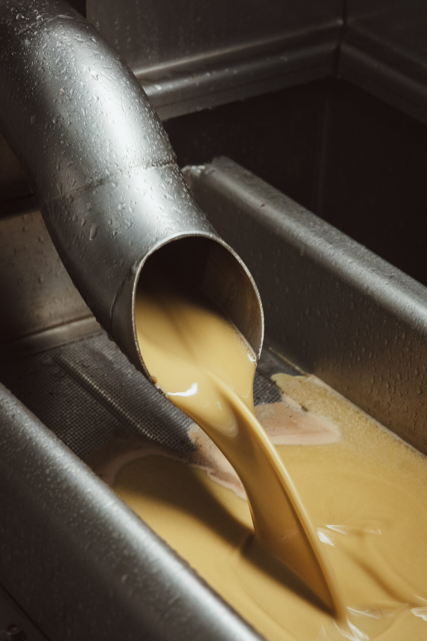 Photographe artisanat & savoir-faire en Drôme/Ardèche