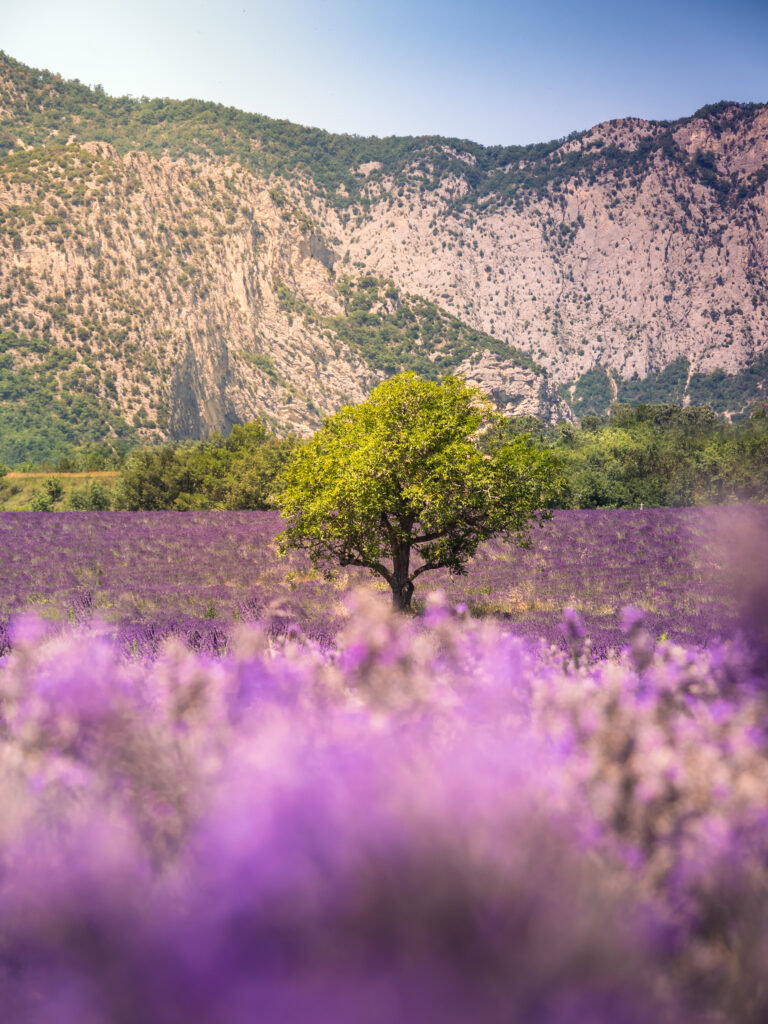 Photo tourisme et voyage en france