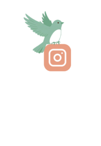 Instagram les oiseaux rares